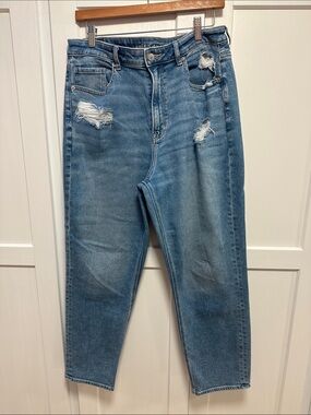 American Eagle Outfitters Light Blue Distressed Boyfriend Jeans